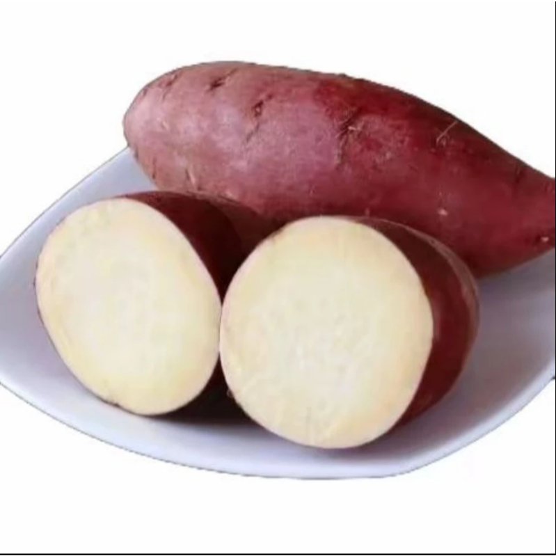 

1 kg Ubi Jalar Narutokintoki / Ubi Jepang Naruto Mentah