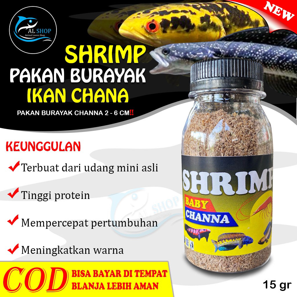 Pakan Burayak Channa 2-6 cm udang mini pakan anakan Channa shrimp baby channa
