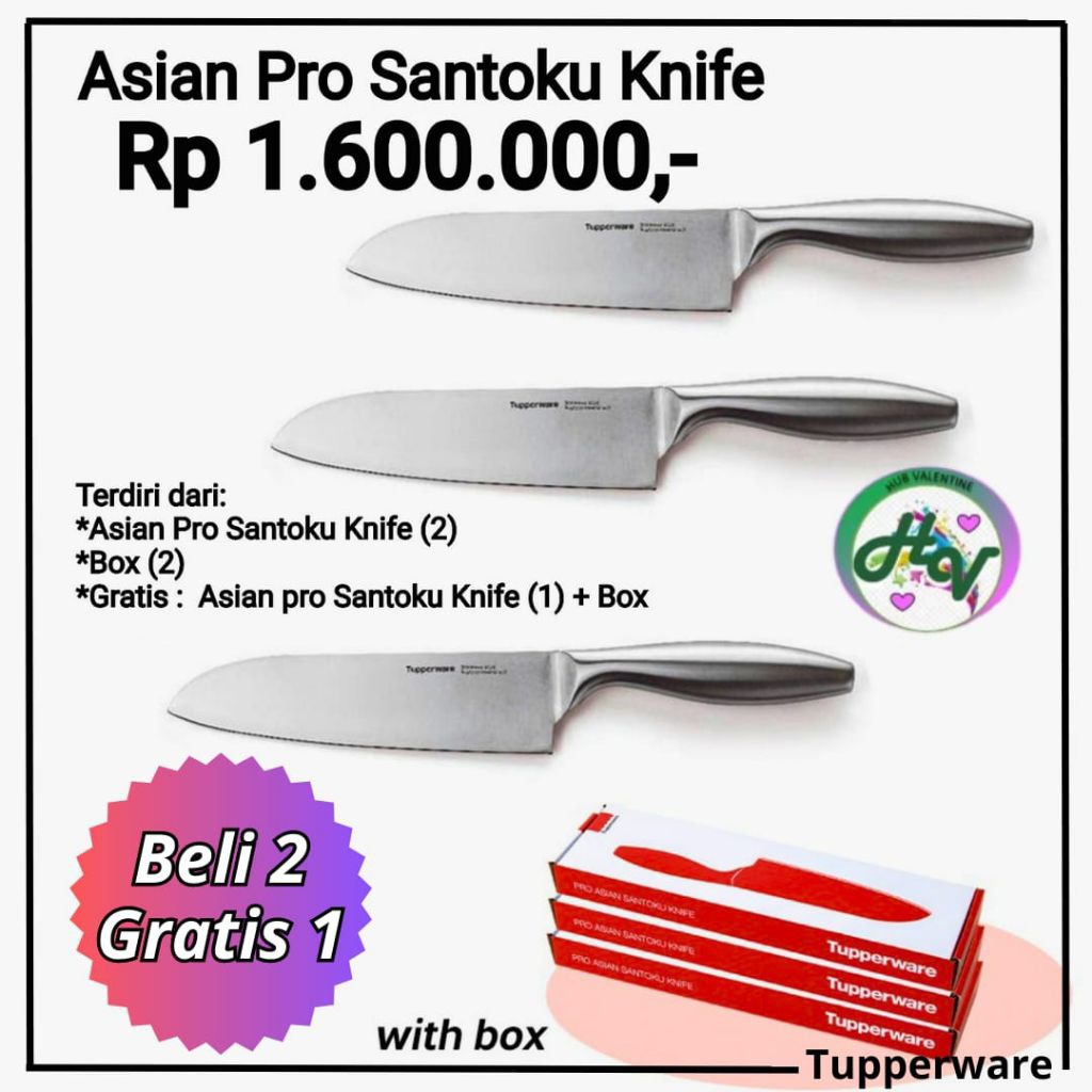 Asian Pro Santoku Knife (1)