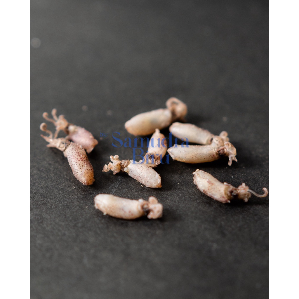 

Cumi Asin Balita Kualitas Super Khas Medan