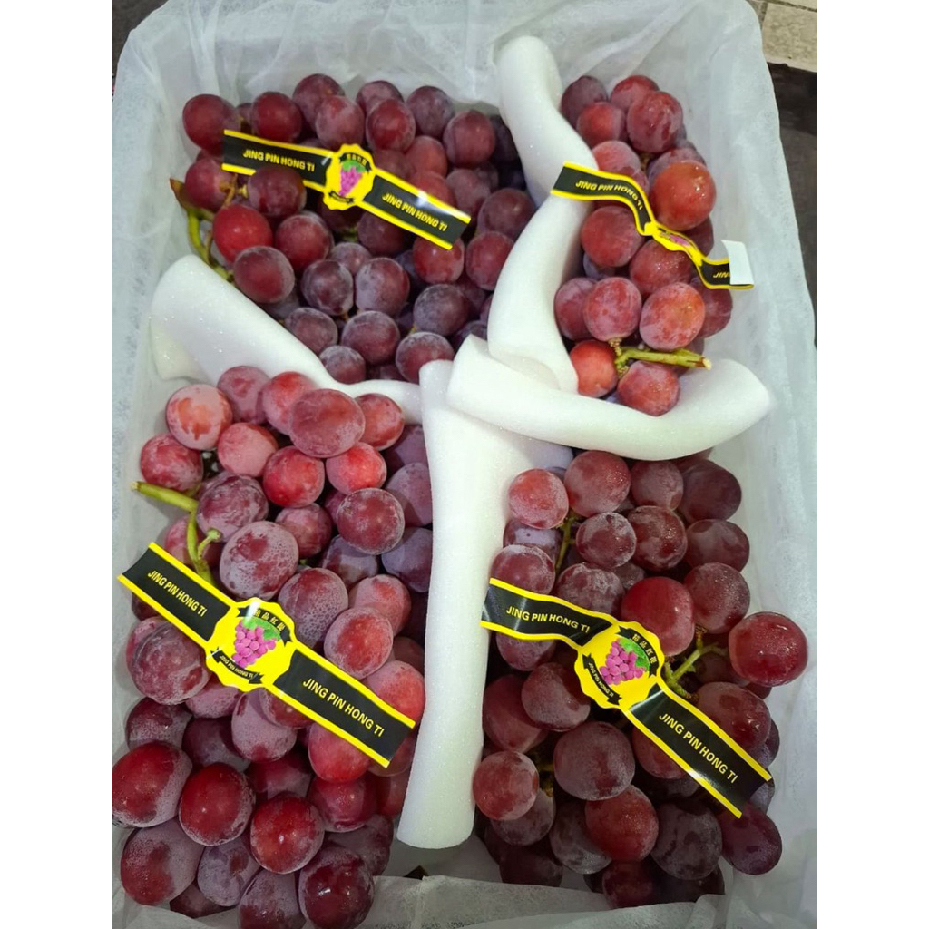 

ANGGUR RED GLOBE RG CINA READY FRESH IMPORT KRAT