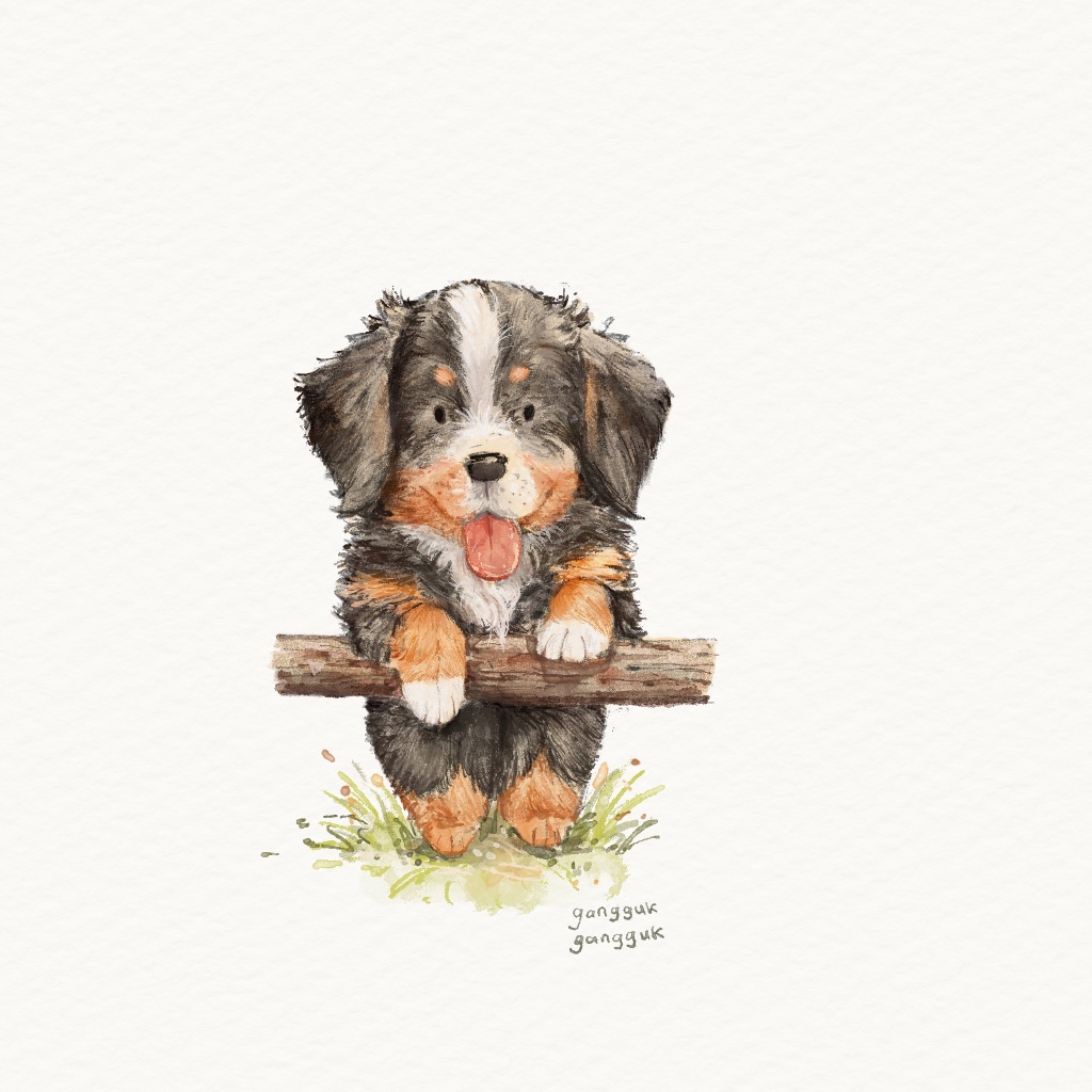 pet illustration