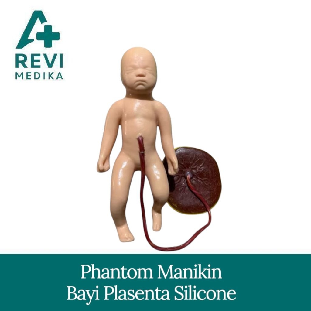 Phantom Manikin Bayi Plasenta Silicone / Manekin Bayi Plasenta Baru Lahir Silikon