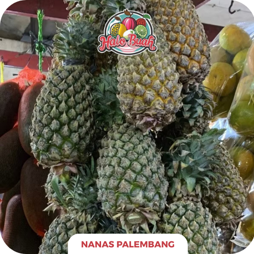 

Buah Nanas Palembang 1 Buah Rasa Manis Mantap