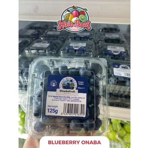 Buah Blueberry Segar Fresh Pack 125gr Import