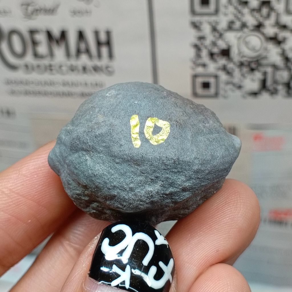 Muncang Adu Manohara Childs kode 10