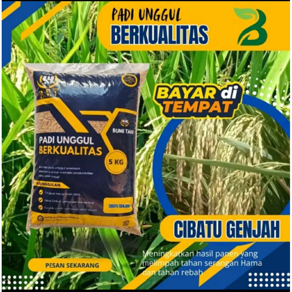 BENIH PADI CIBATU GENJAH KMASAN 5KG