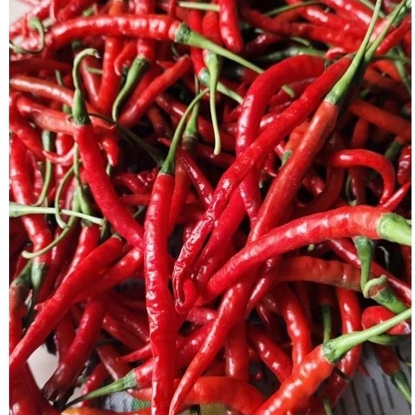Cabe/Cabai Kriting Merah (CMK) Uk 1kg