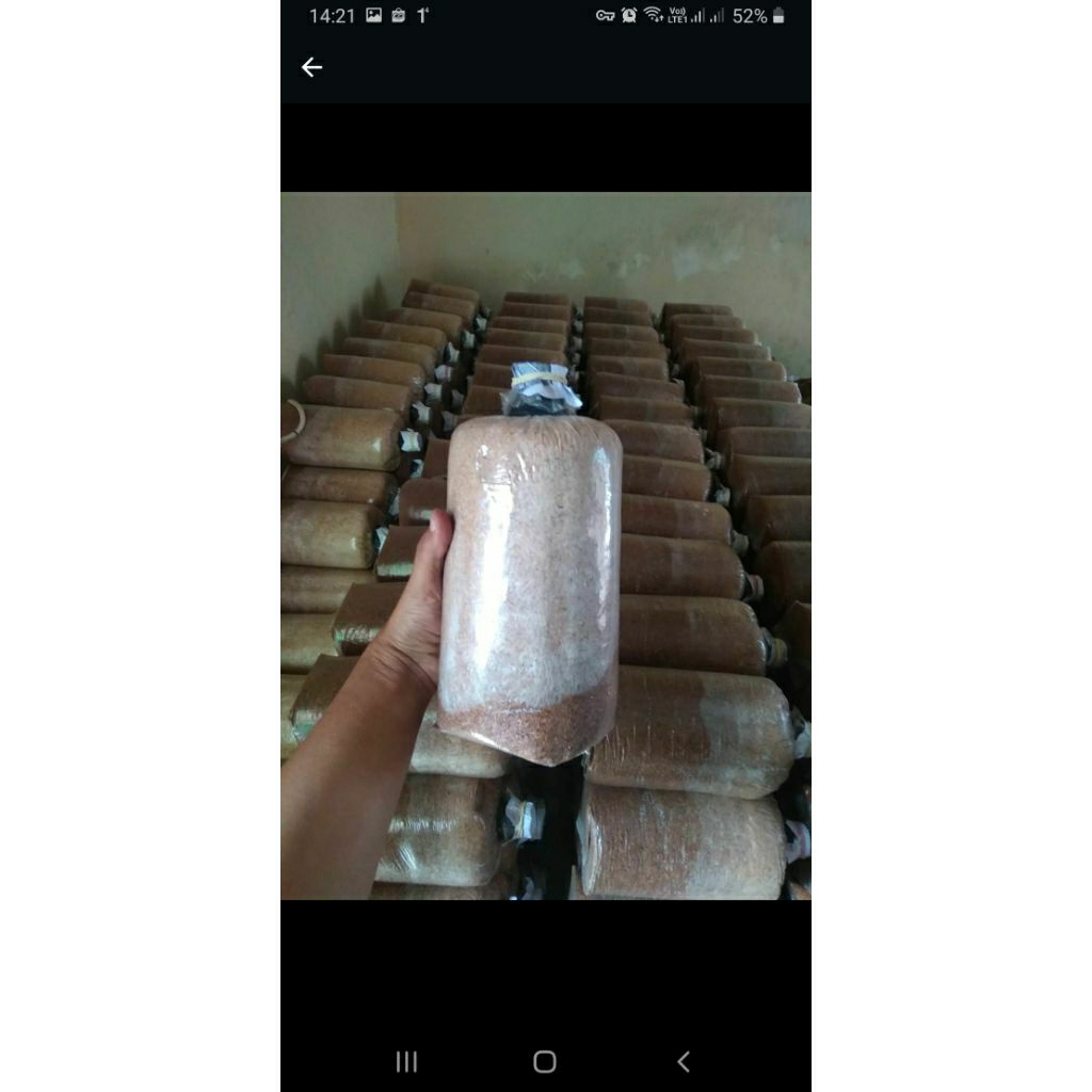 

Baglog Jamur Tiram Grade A Kualitas Super