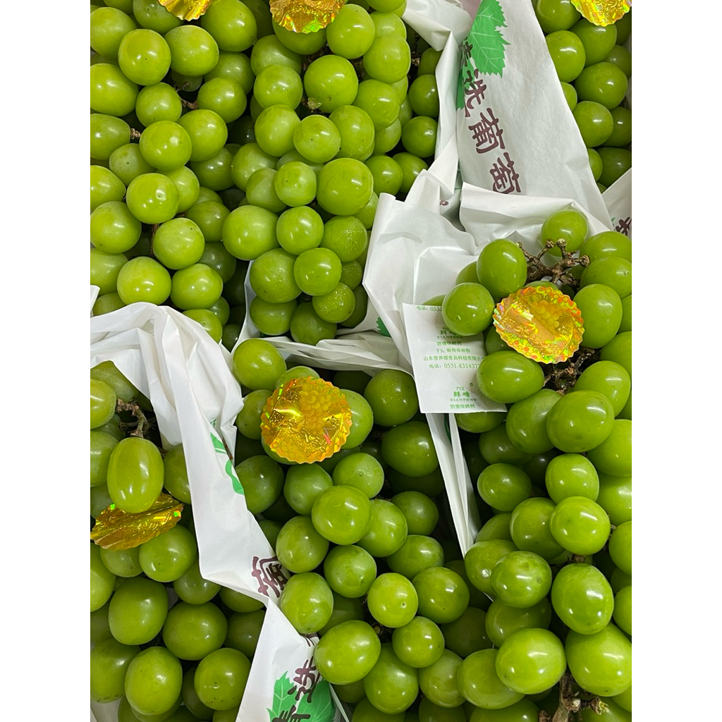 Anggut Muscat Hijau - Shine Muscat Seedless Grape