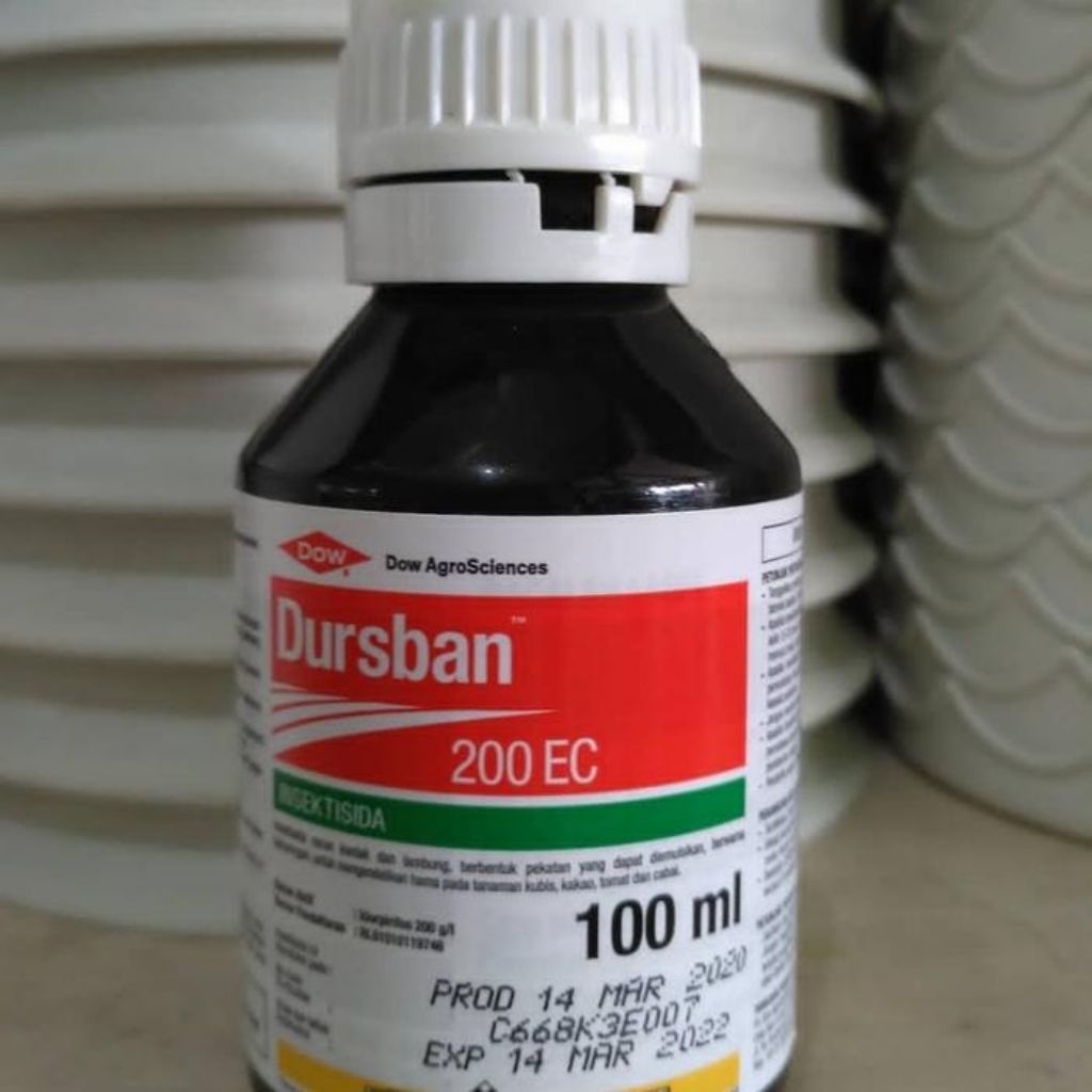 INSEKTISIDA DURSBAN 100 ML 200 EC