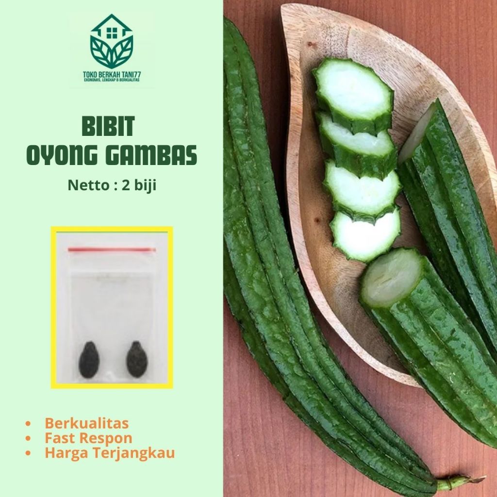 Benih Oyong Gambas Bibit Oyong Gambas Hibrida Sayuran Rambat Gambas Unggul - Bibit Tanaman Sayur Ber