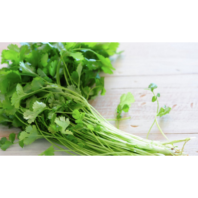

Cilantro Segar Wansuy / Daun Ketumbar / Daun Sup 100g