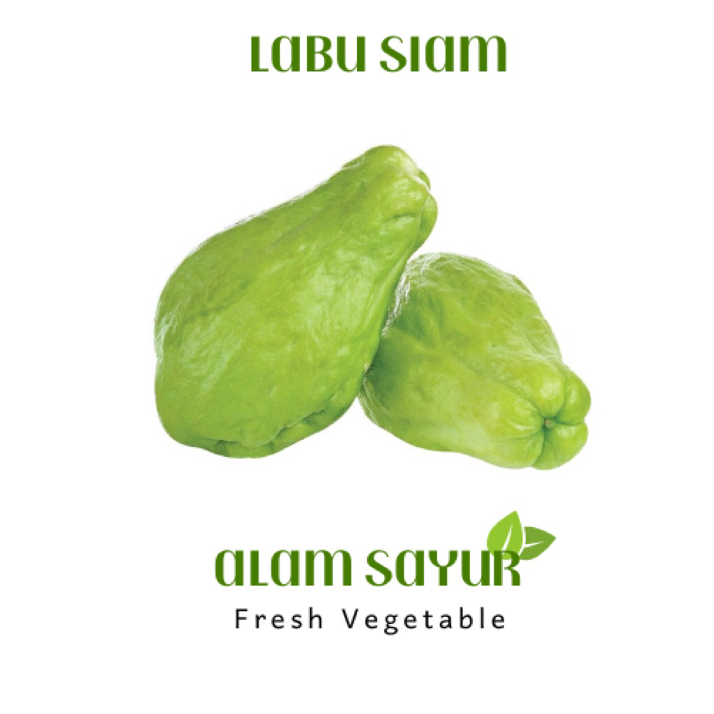 

Labu Siam - Teman Hijau Jogja