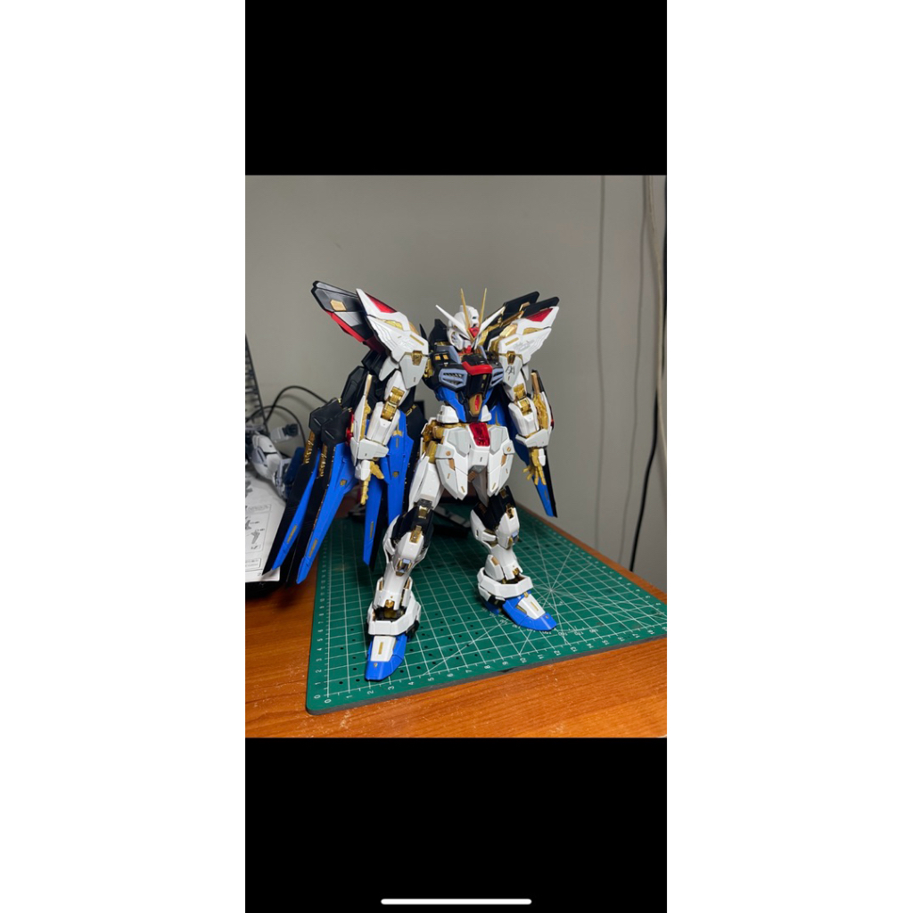 Xunxin MGEX Strike Freedom Gunpla