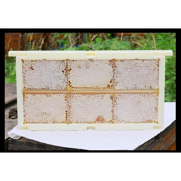 Madu Sarang Asli 100% Murni dari Lebah Malifera - 500gr