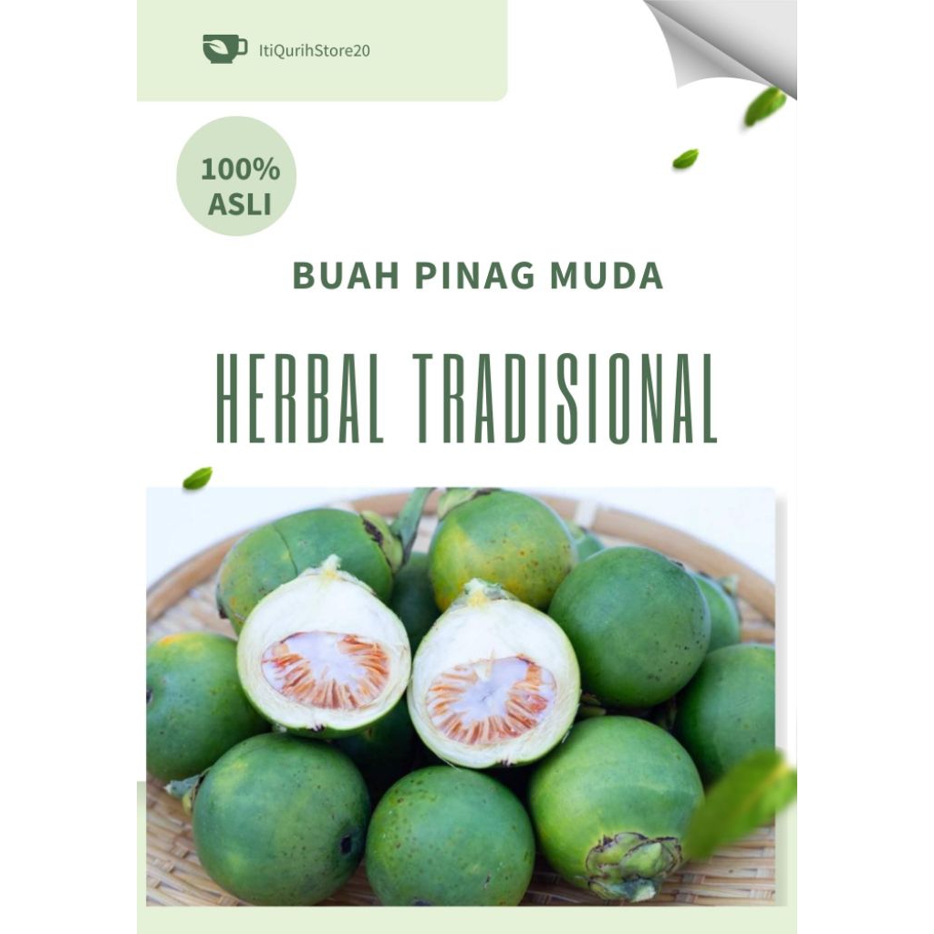 

Buah Pinang Muda Atau Buah Jambe Fresh 500 Gram