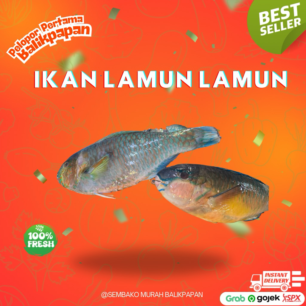 

Ikan lamun lamun segar 1 kg