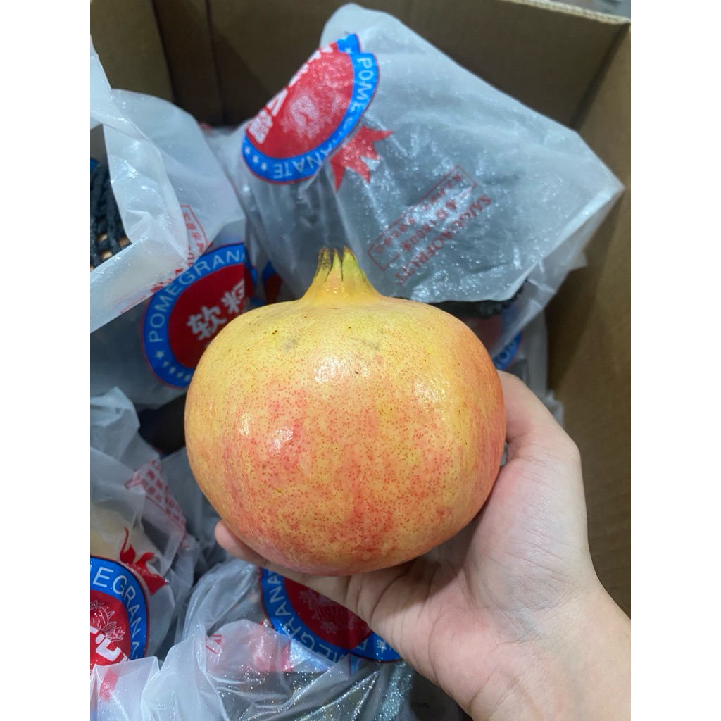 

DELIMA POMEGRANETE (MERAH SOFT ENAK)