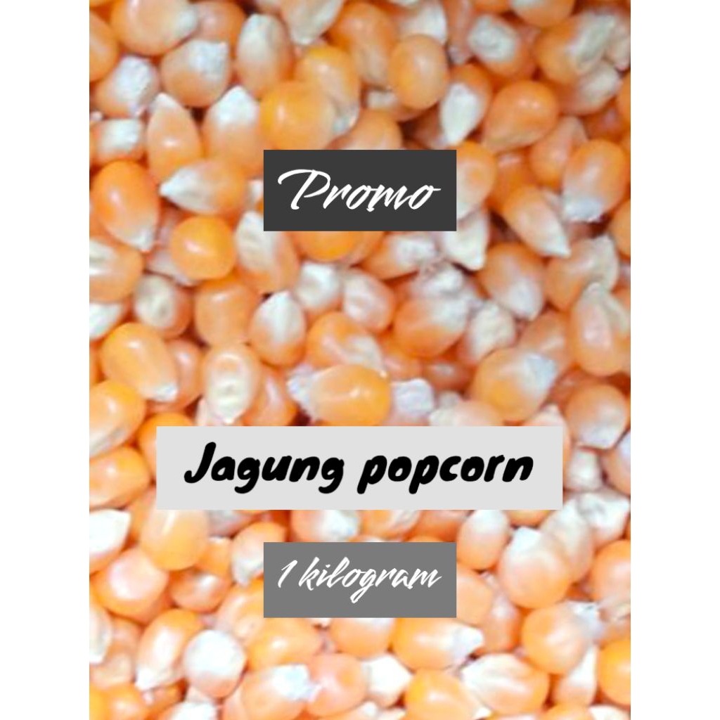 1 KG JAGUNG POPCORN MENTAH