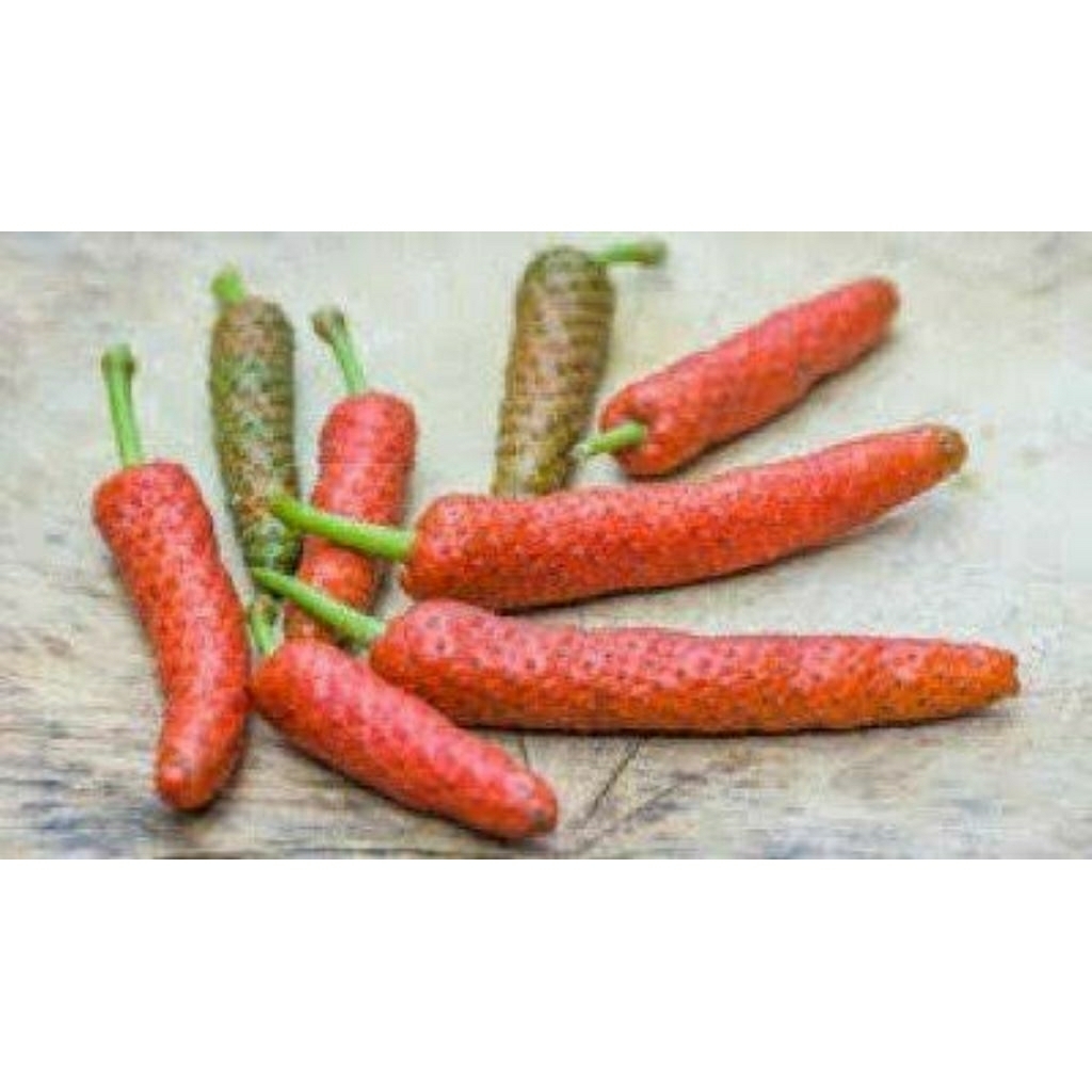 Cabe Jamu / Puyang / Jawa segar 200gr