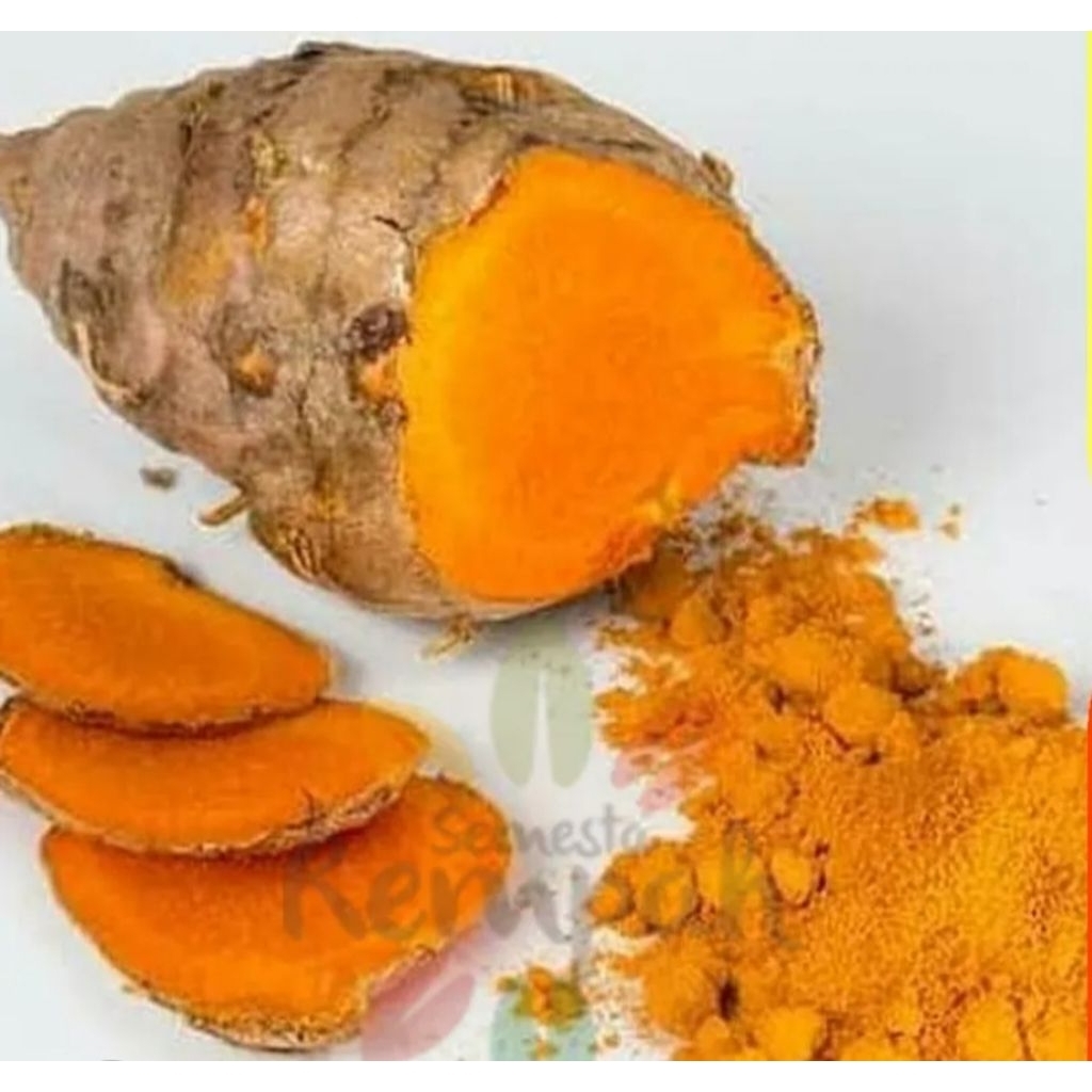 

Empu Biang/Kepala Kunyit 1kg