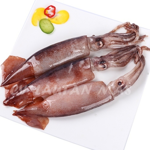Cumi 1Kg // Cumi Segar // Cumi Basah // Cumi Jumbo Segar // Cumi Besar // Cumi Tube // Cumi Kondom /