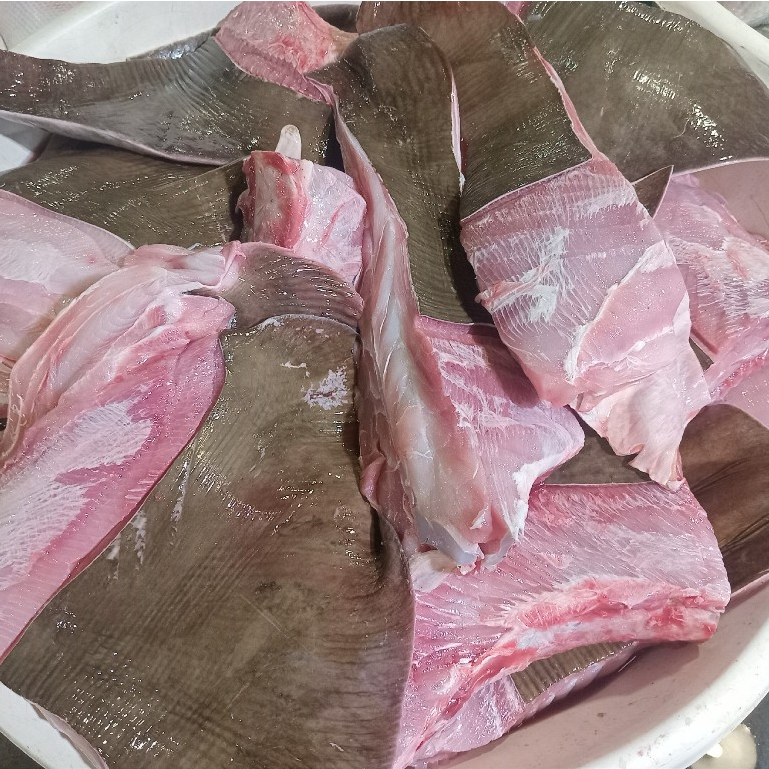 Ikan Pari 1Kg Ikan Pari Segar Ikan Pari Fillet