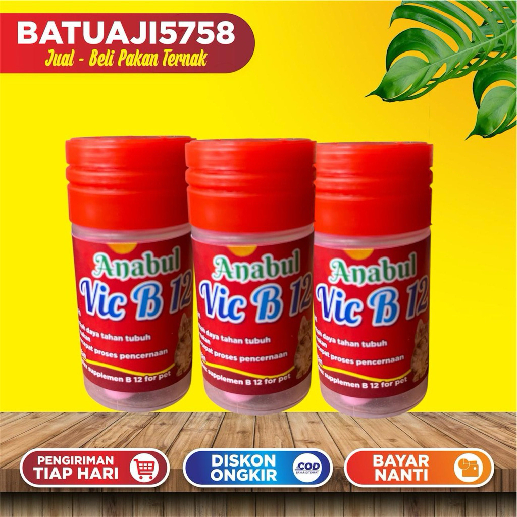 vitamin B 12 / vitamin suplement kucing dan anjing