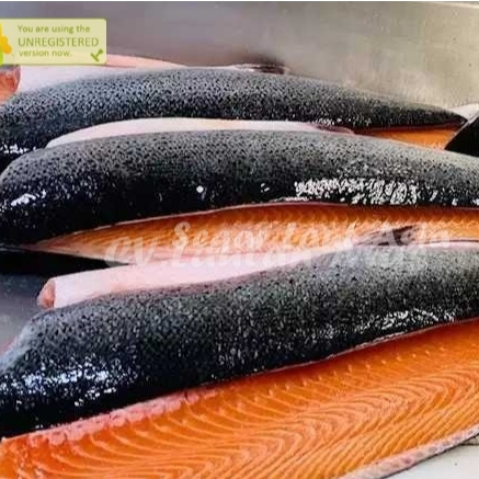 Salmon Trouth Norwegian Salmon Fillet Salmon Segar 1Kg
