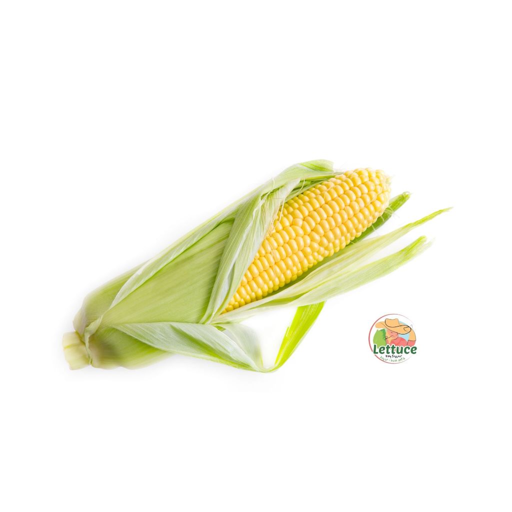 

Jagung Manis Tanpa Kulit Fresh Isi 3-4