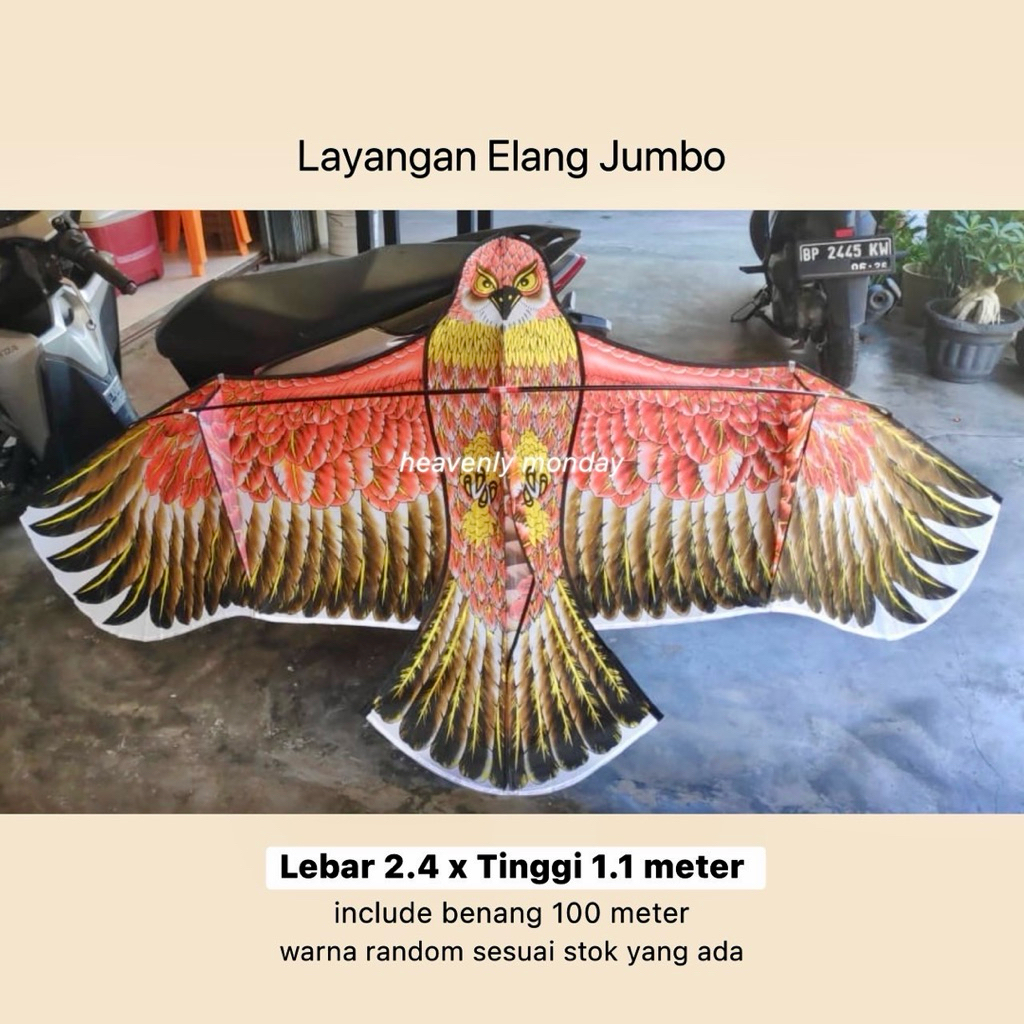 Layangan Burung Elang Jumbo uk. 2.4 Meter