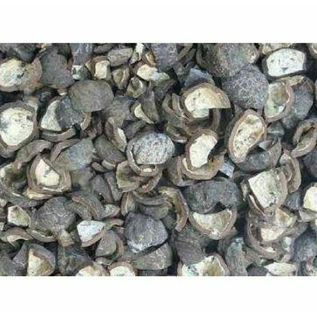 CANGKANG KEMIRI 1 KG