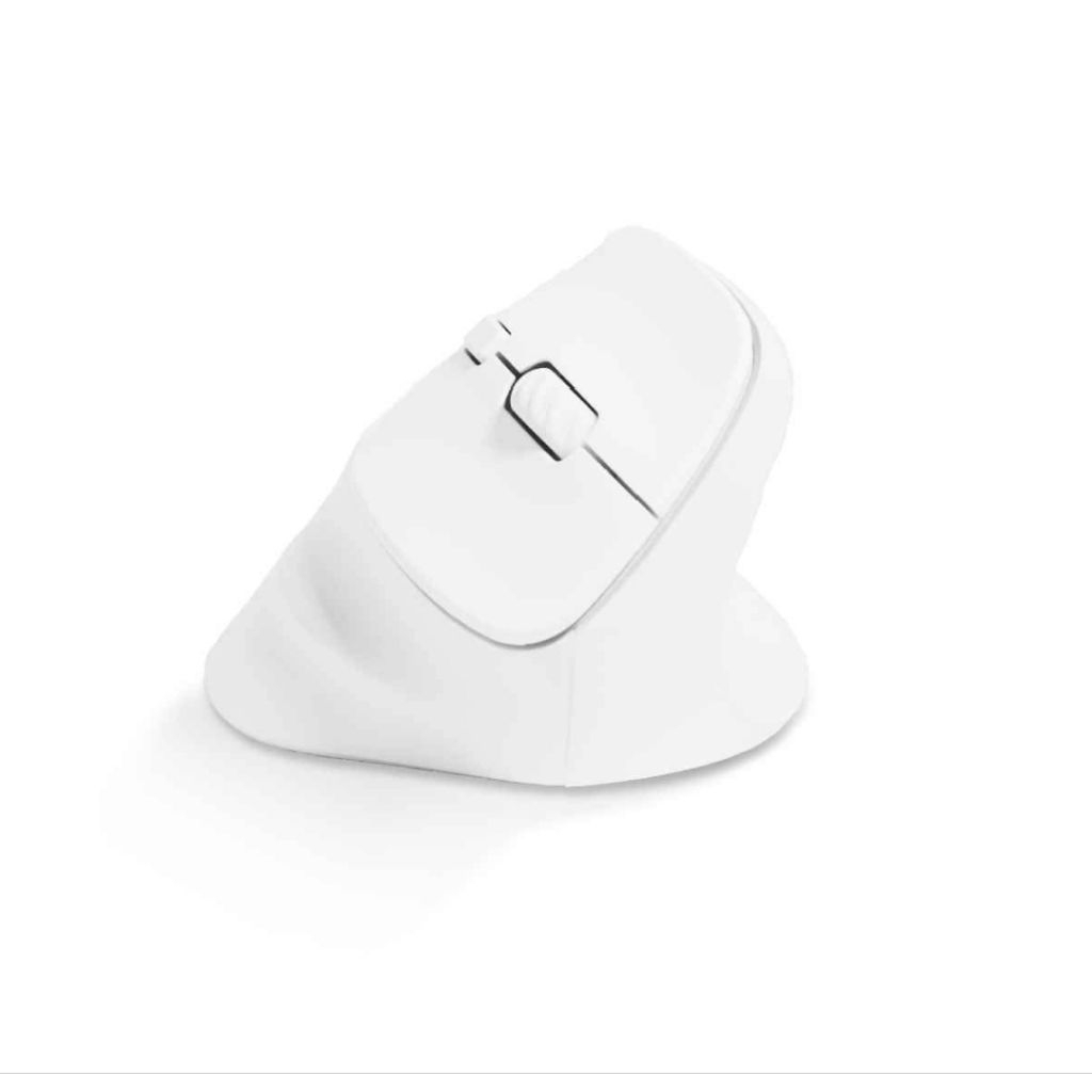 Rexus Clif QV-260 (SECOND HAND)