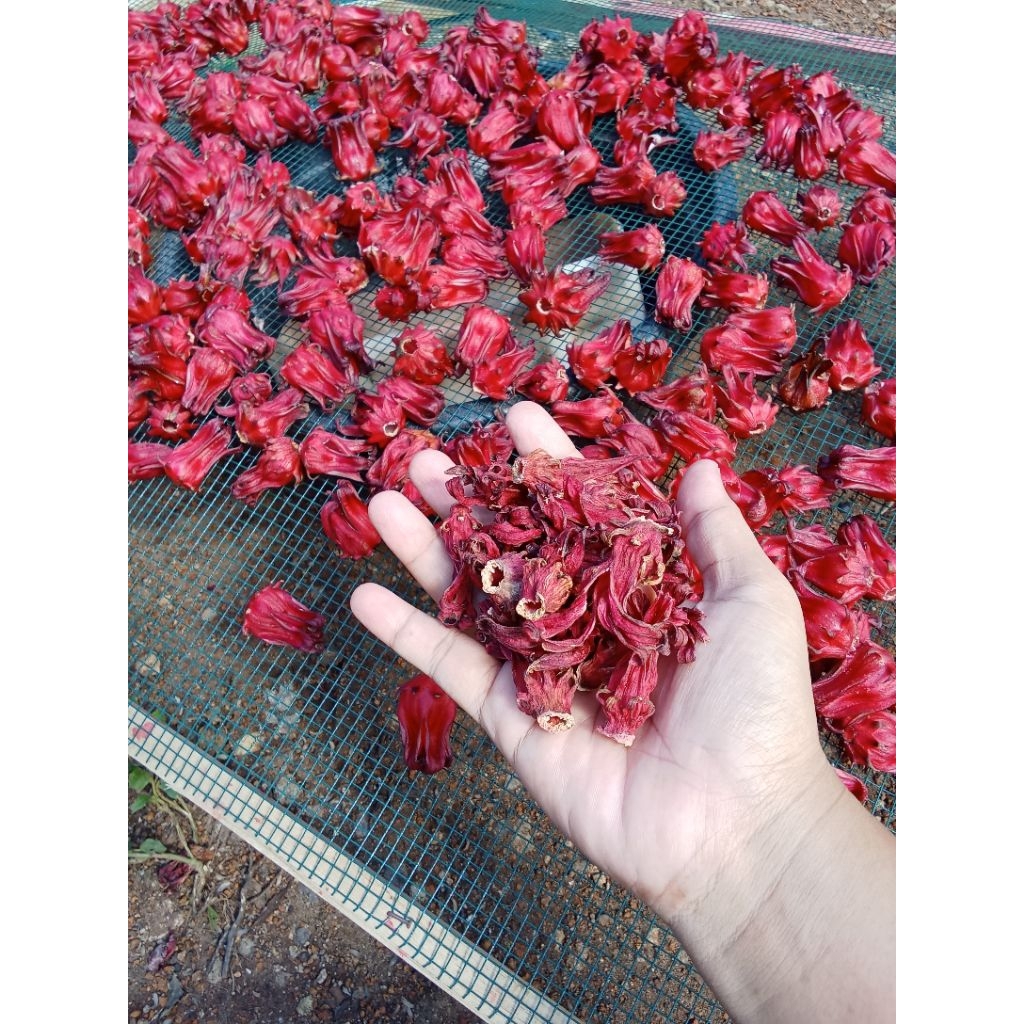 

Rosela kering 1kg merah Premium grade A panenan baru