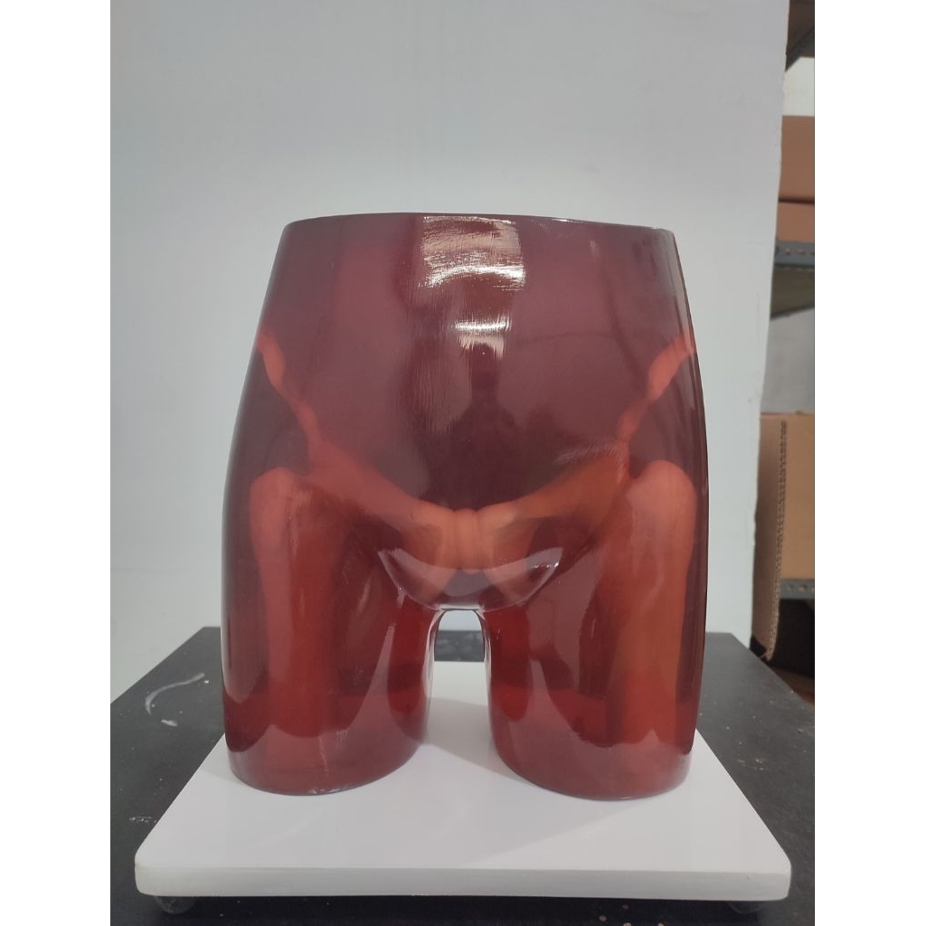 Phantom X-Ray / Peraga Panggul X-Ray / Model X-Ray Panggul / Manikin X-Ray / Manikin Panggul