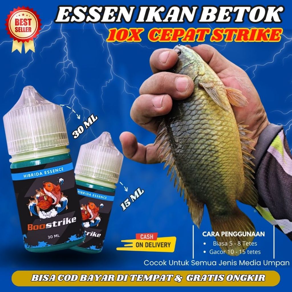 Essen Ikan Betok Paling Ampuh, Umpan Ikan Betok, Mancing Ikan Betok | Boostrike