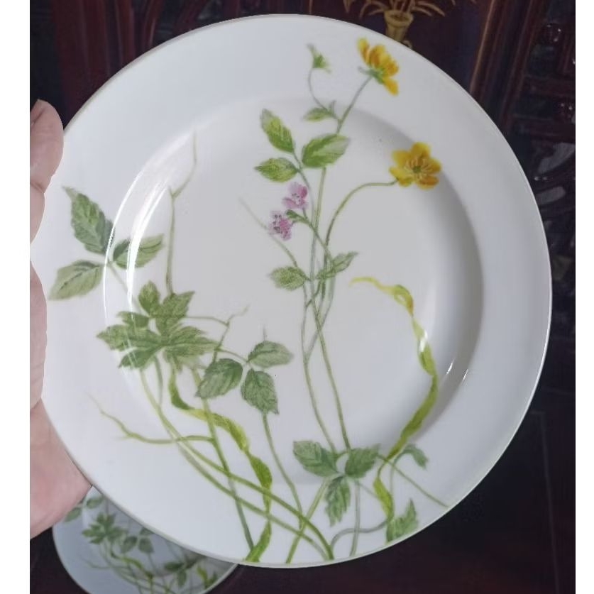 Piring hias keramik jadul (1)