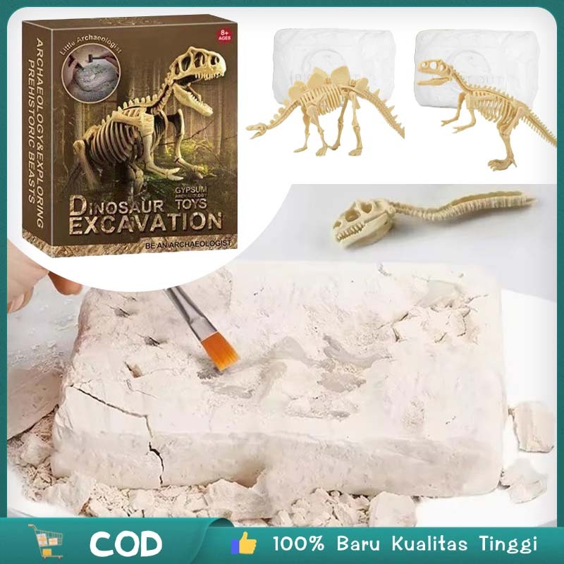 Fossil Dinosaurus Mainan Edukasi Edukatif Mainan Fosil Dinosaurus Besar Fosil Dinosaurus
