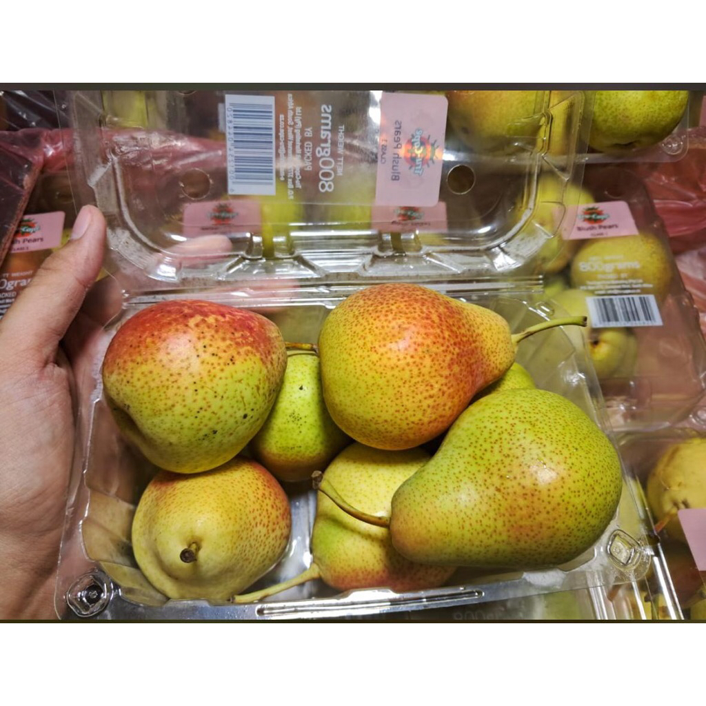 pear forelle pack buah manis