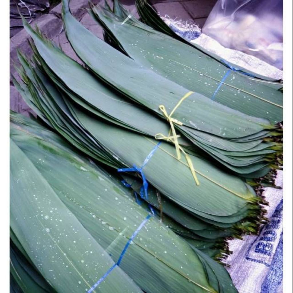 

Daun bambu jumbo segar langsung petik dari pohon 100 lembar, lebar 10 - 15cm | bungkus bakcang