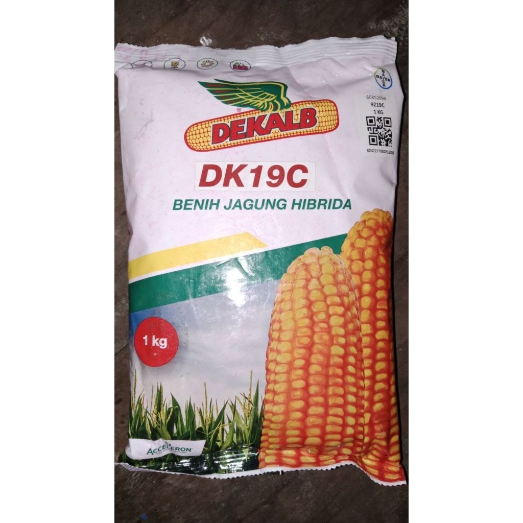 Benih Jagung Hibrida DEKALB DK19C 1Kg