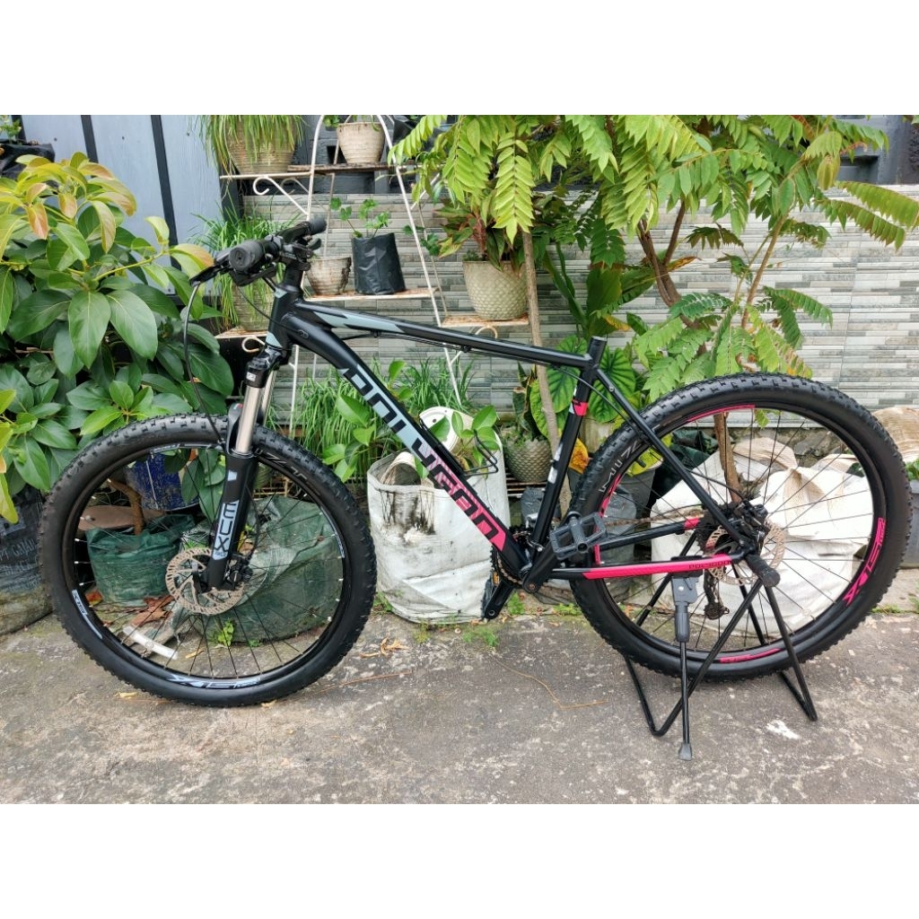 polygon premier 5 2021