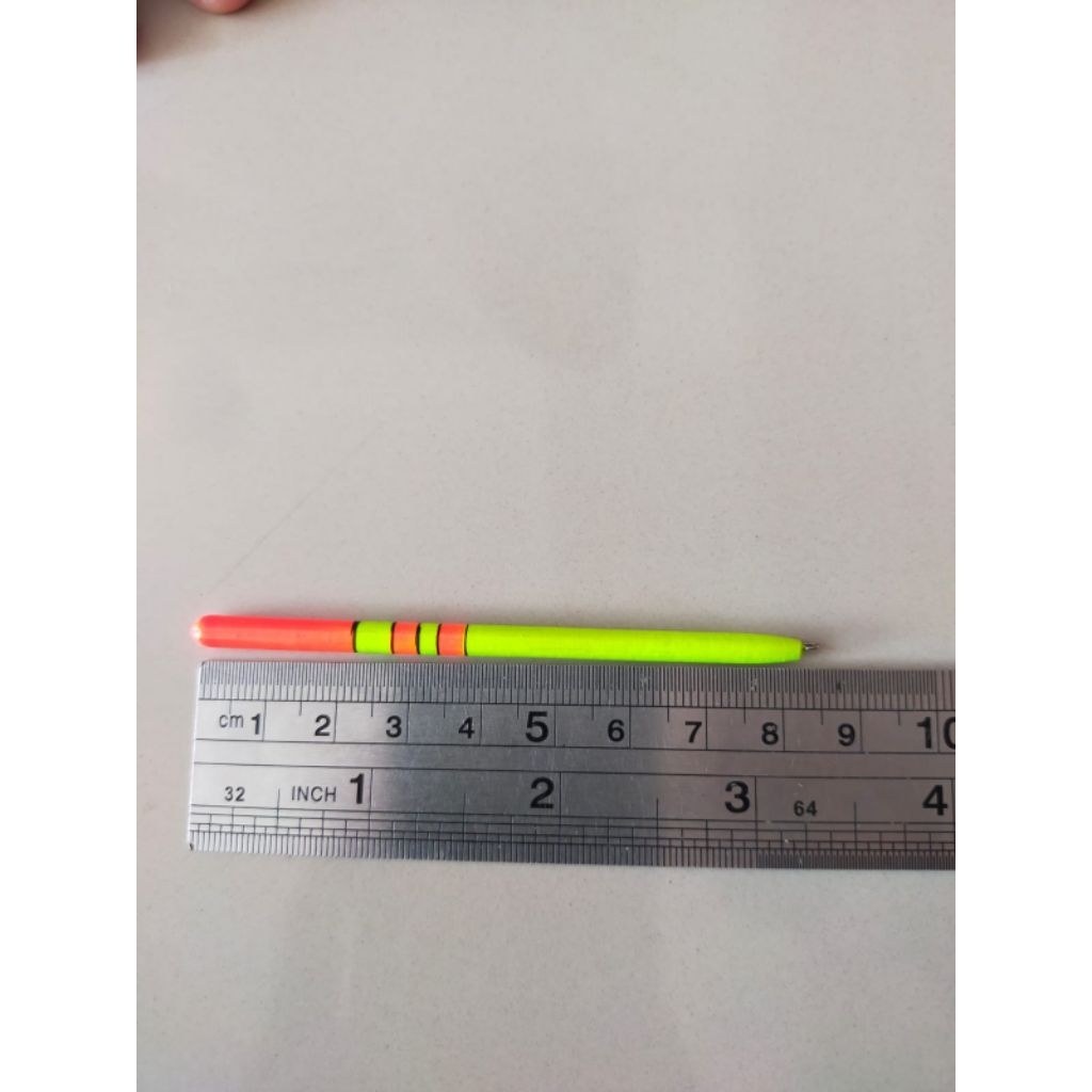 AMPUL PANCING / PELAMPUNG ZEBRA