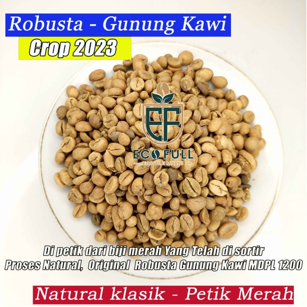 Green Been Robusta Gunung Kawi Biji Kopi Mentah