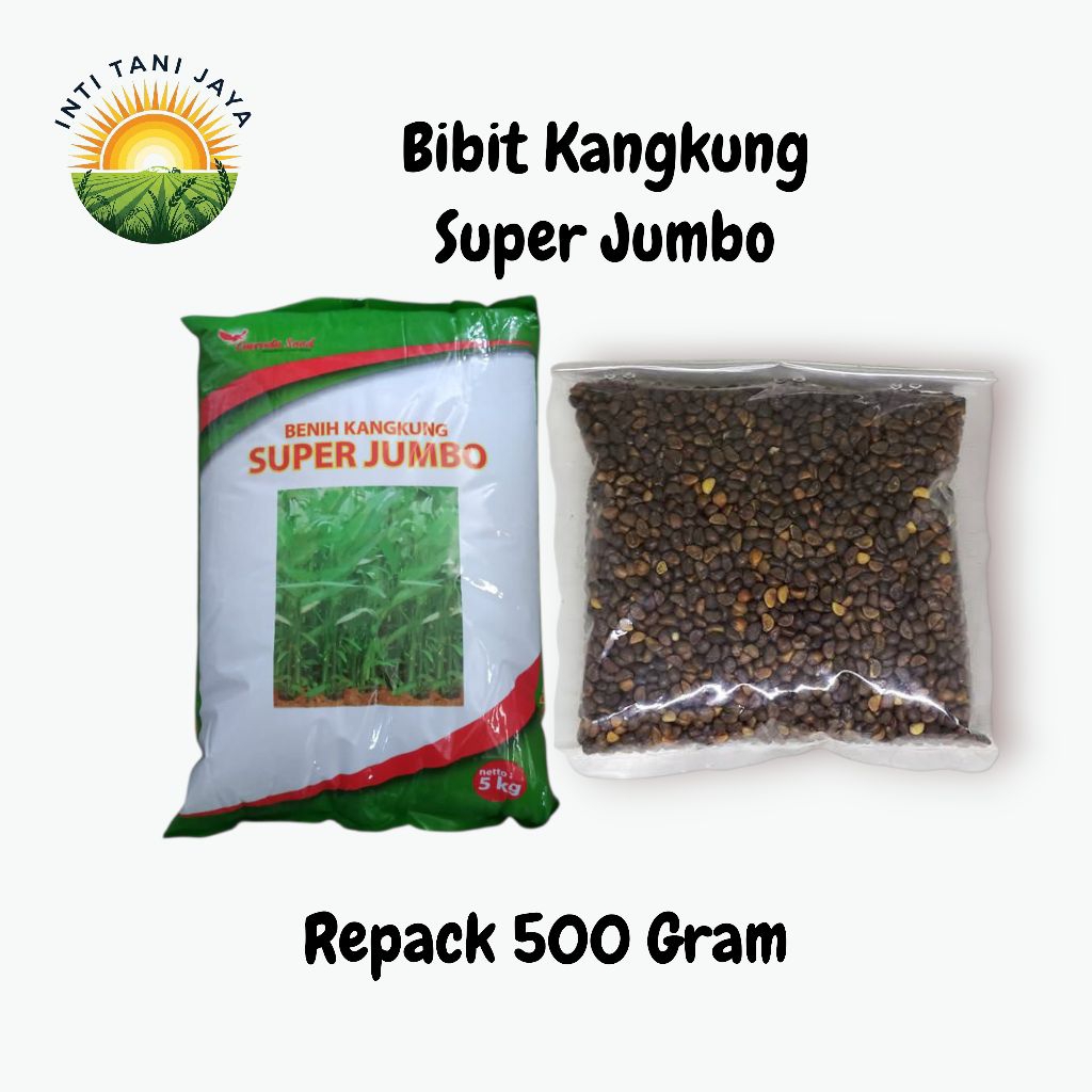Bibit Kangkung 500 Gram Bibit Kangkung Super Jumbo