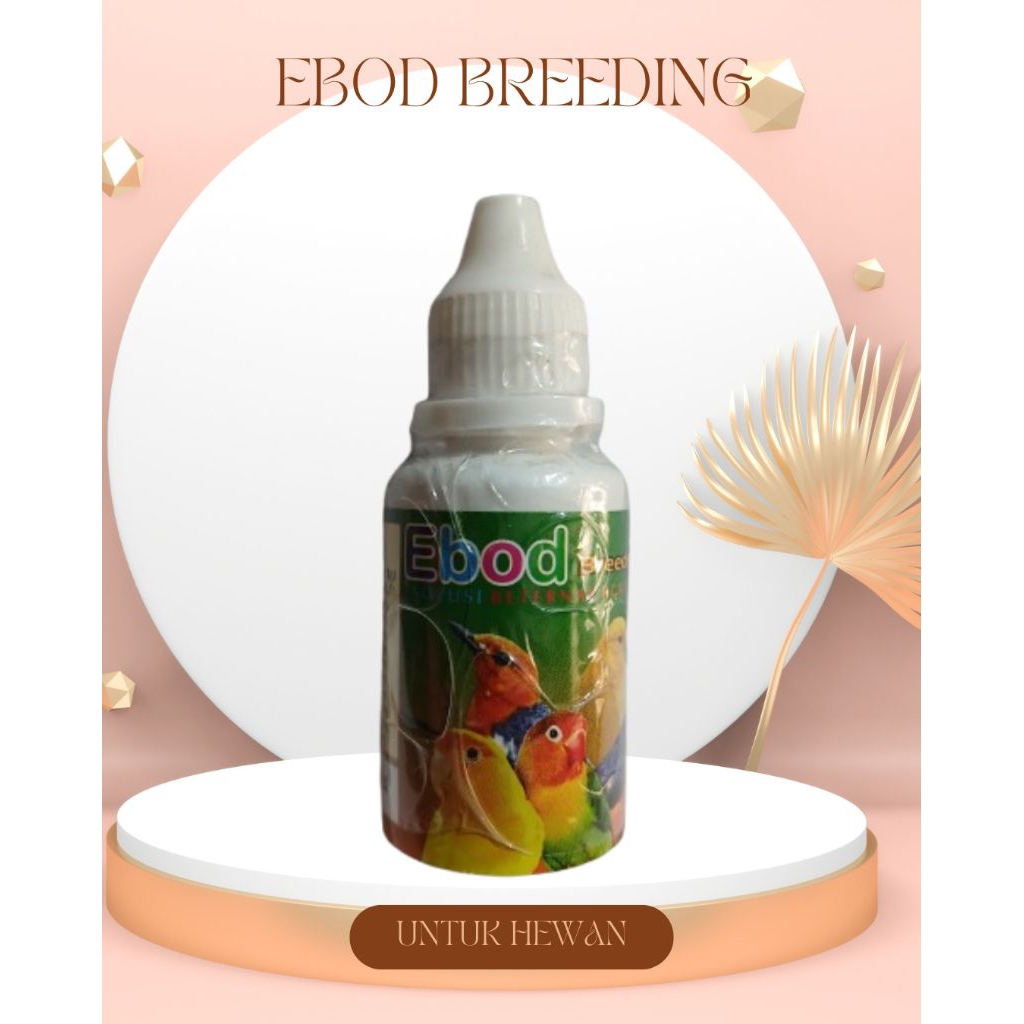 EBOD breeding solusi beternak burung