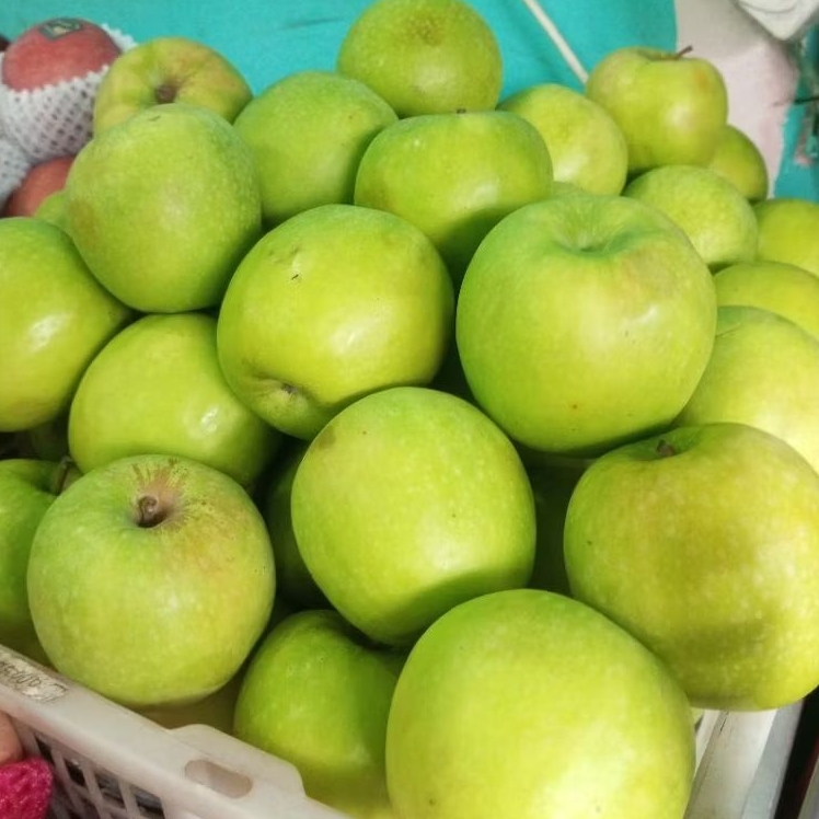 

Buah Apel Hijau Fresh 1 kg