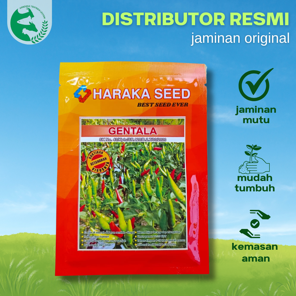 Benih Cabe Rawit Hijau Tegak GENTALA 10 gram Cap Haraka Cabai Lokal Umur Genjah Produksi Tinggi