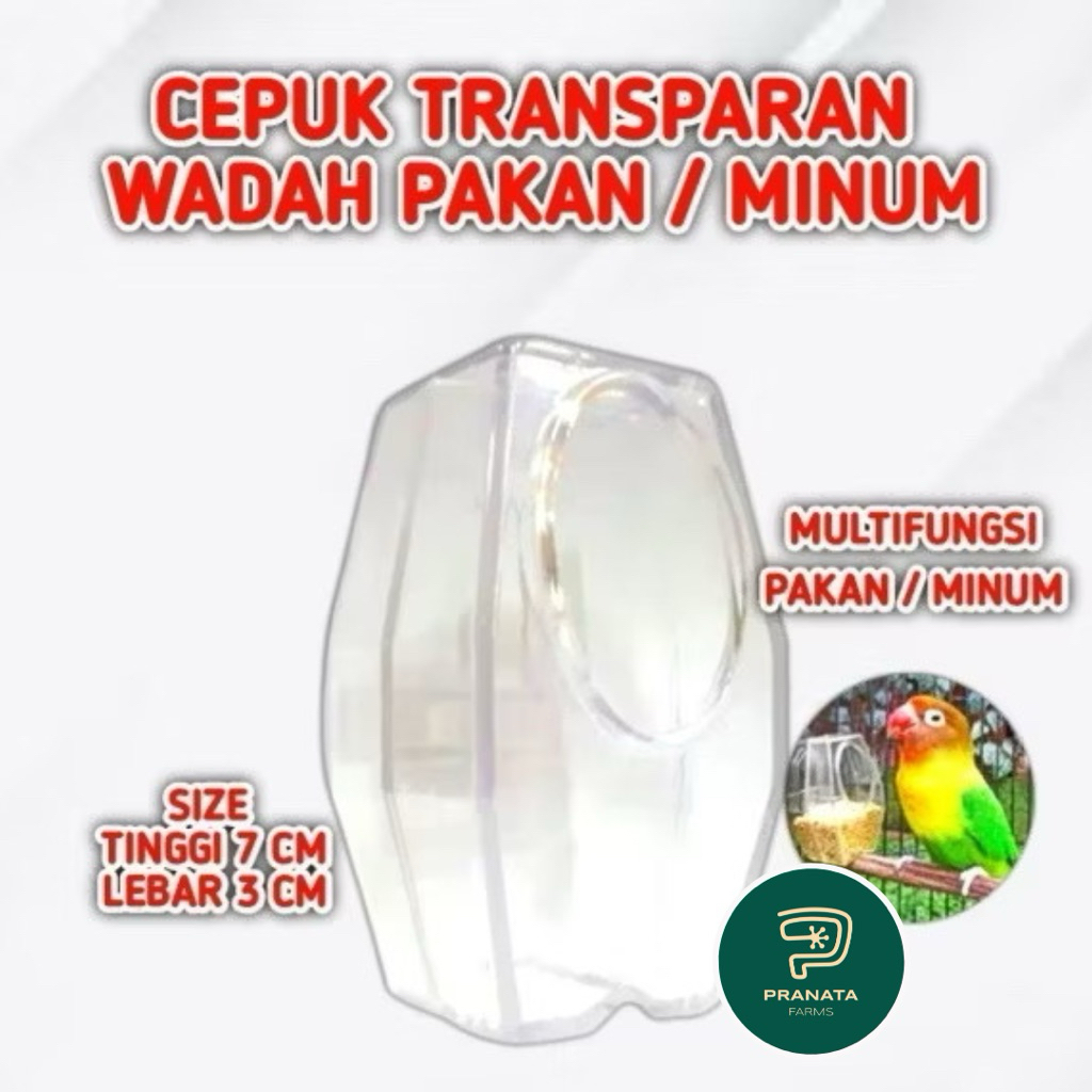 Cepuk Full Kotak wadah makan/minum burung